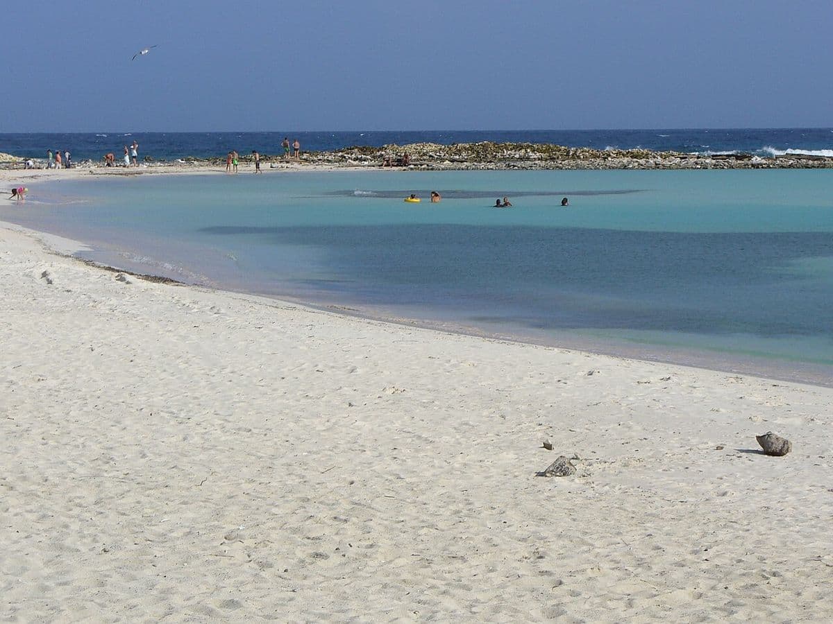 Internet in Aruba: Oranjestad, Eagle Beach and the ABC Islands (2026)